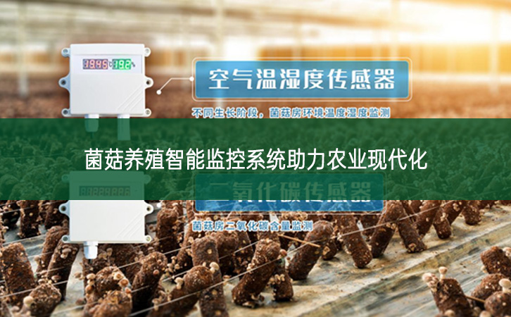 菌菇養殖智能監控系統助力農業現代化