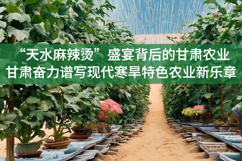 “天水麻辣燙”盛宴背后的甘肅農業——甘肅奮力譜寫現代寒旱特色農業新樂章