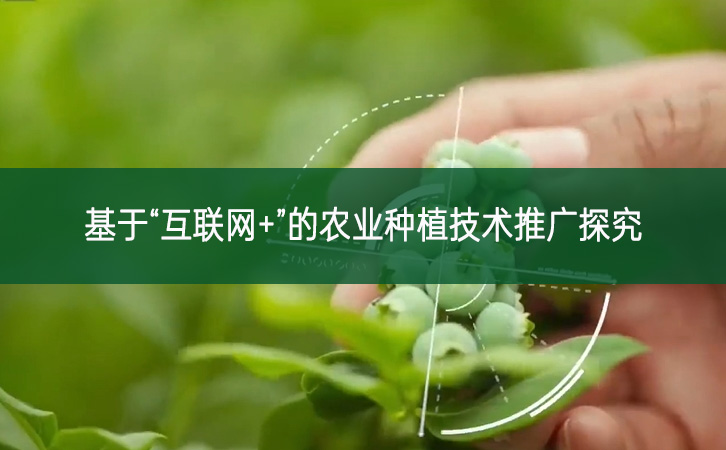 基于“互聯(lián)網(wǎng)+”的農(nóng)業(yè)種植技術(shù)推廣探究