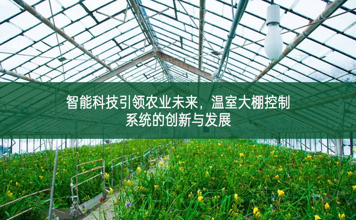 智能科技引領農業未來，溫室大棚控制系統的創新與發展