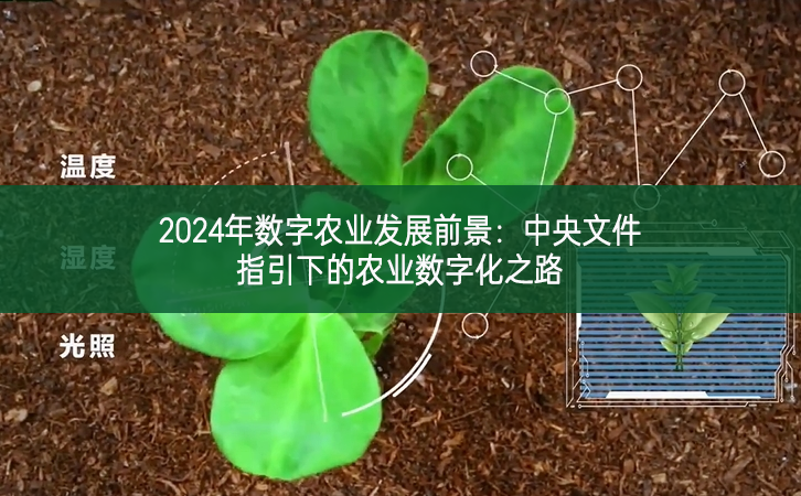 2024年數(shù)字農(nóng)業(yè)發(fā)展前景：中央文件指引下的農(nóng)業(yè)數(shù)字化之路