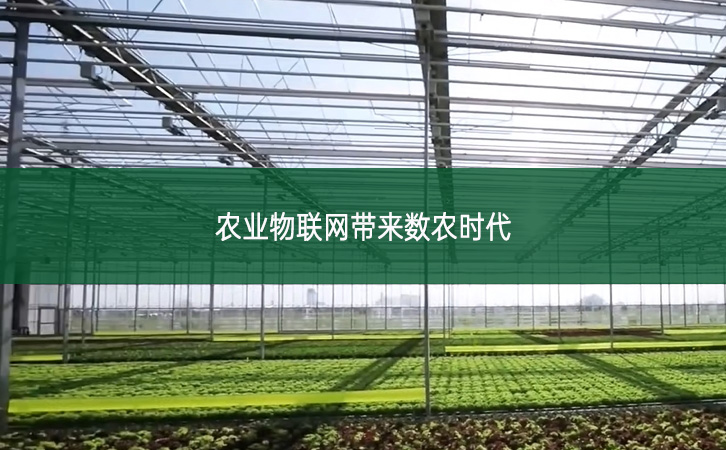 農(nóng)業(yè)物聯(lián)網(wǎng)帶來數(shù)農(nóng)時代