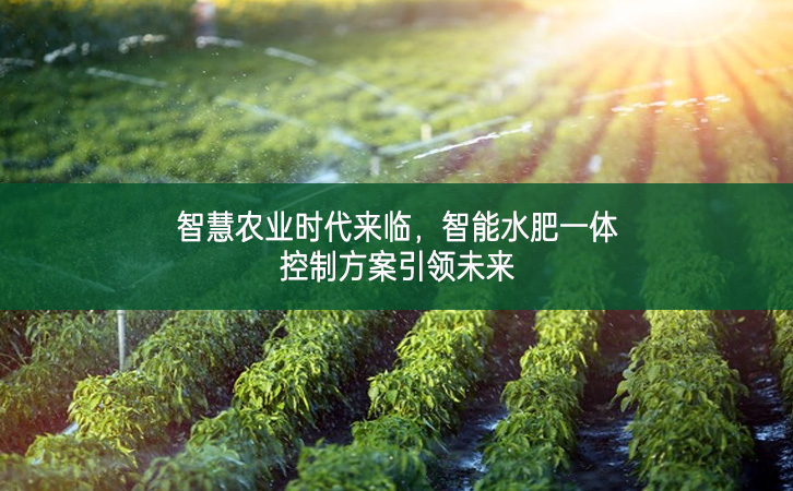智慧農(nóng)業(yè)時(shí)代來臨，智能水肥一體控制方案引領(lǐng)未來