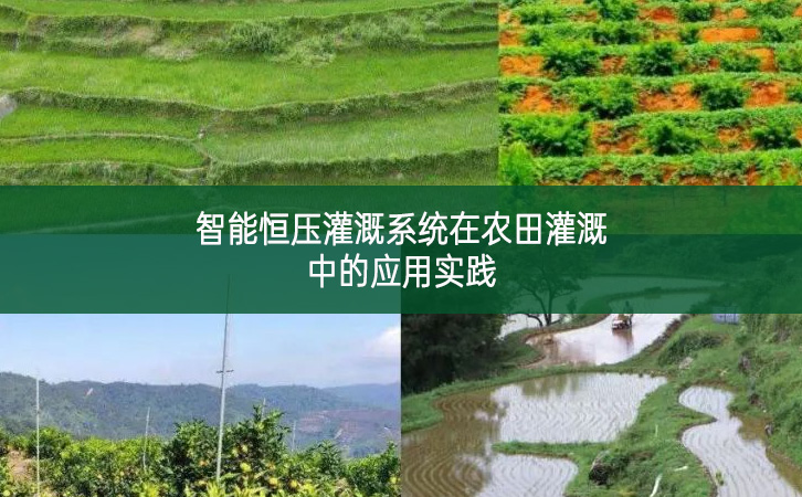 智能恒壓灌溉系統(tǒng)在農(nóng)田灌溉中的應用實踐