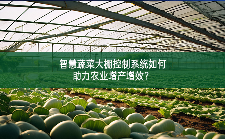 智慧蔬菜大棚控制系統(tǒng)如何助力農(nóng)業(yè)增產(chǎn)增效?