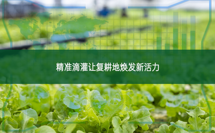精準滴灌讓復(fù)耕地?zé)òl(fā)新活力