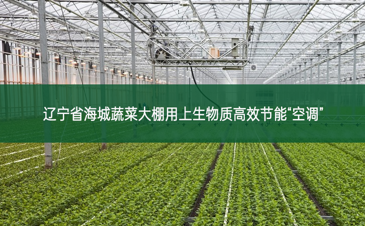 遼寧省海城蔬菜大棚用上生物質高效節能“空調”