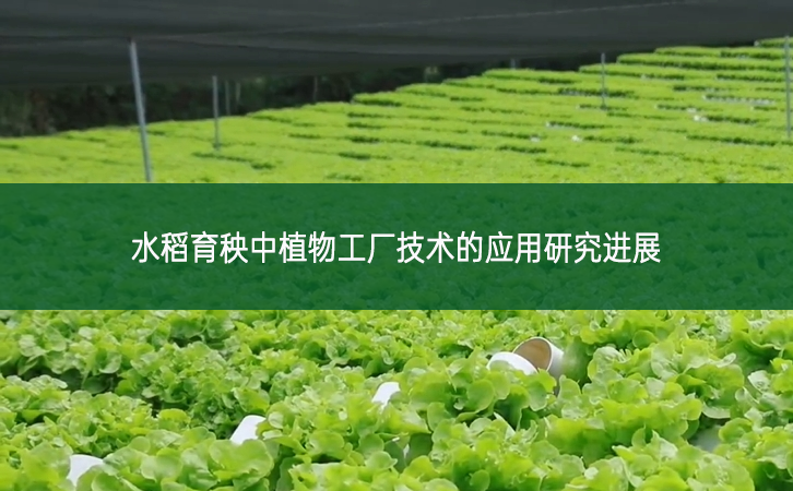 水稻育秧中植物工廠技術的應用研究進展