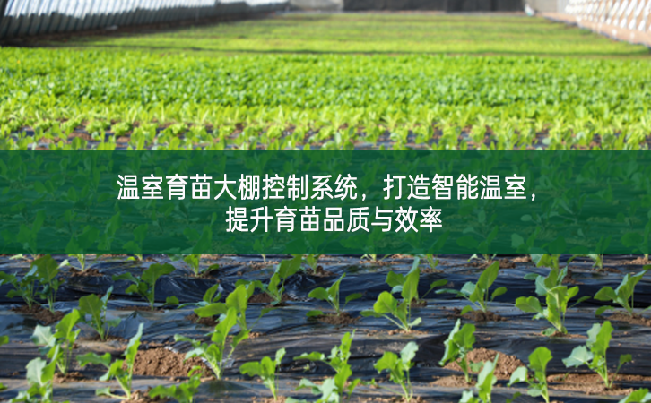 溫室育苗大棚控制系統，打造智能溫室，提升育苗品質與效率