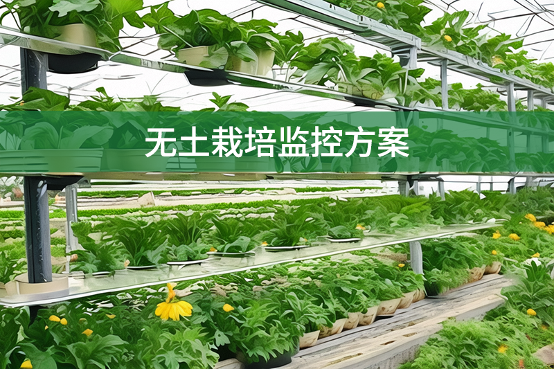 無土栽培監(jiān)控方案