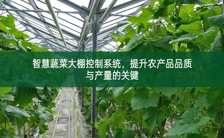 智慧蔬菜大棚控制系統(tǒng)，提升農產品品質與產量的關鍵