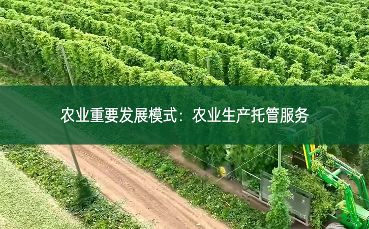 農(nóng)業(yè)重要發(fā)展模式：農(nóng)業(yè)生產(chǎn)托管服務(wù)