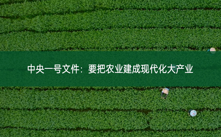 中央一號文件：要把農(nóng)業(yè)建成現(xiàn)代化大產(chǎn)業(yè)