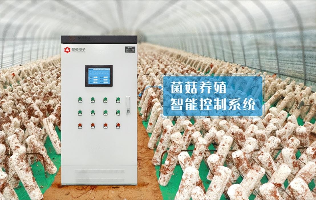 菌菇種植智能監(jiān)控系統(tǒng)