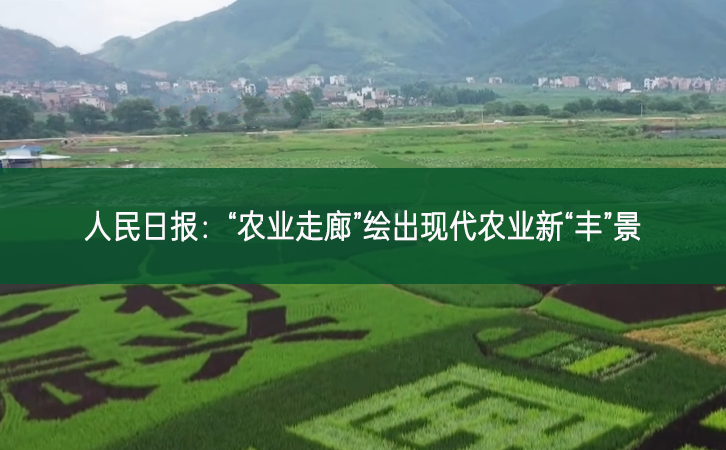 人民日報:“農業走廊”繪出現代農業新“豐”景