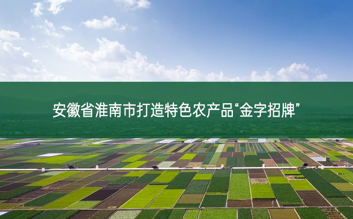 安徽省淮南市打造特色農產品“金字招牌”