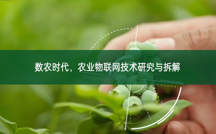 數(shù)農(nóng)時代，農(nóng)業(yè)物聯(lián)網(wǎng)技術(shù)研究與拆解