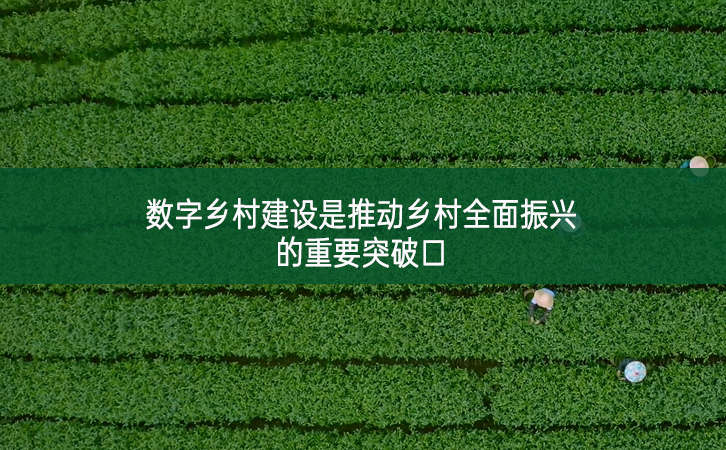 數(shù)字鄉(xiāng)村建設(shè)是推動鄉(xiāng)村全面振興的重要突破口