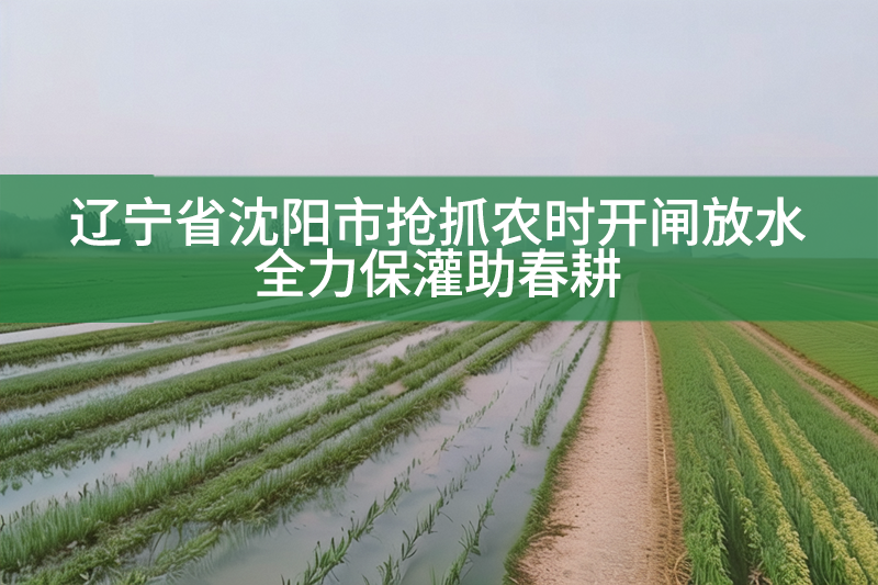 遼寧省沈陽(yáng)市搶抓農(nóng)時(shí)開(kāi)閘放水 全力保灌助春耕