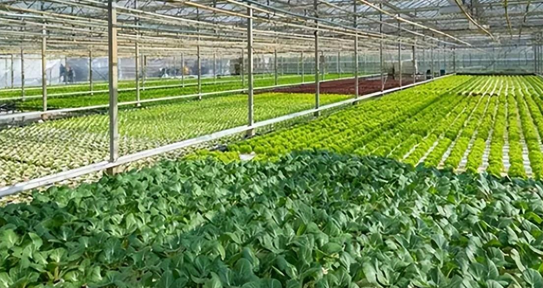 智能玻璃溫室監控系統