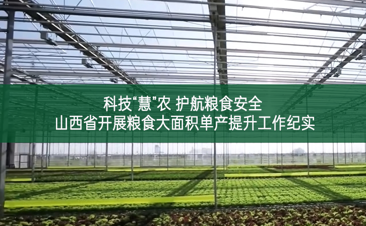 科技“慧”農(nóng) 護(hù)航糧食安全 ——山西省開(kāi)展糧食大面積單產(chǎn)提升工作紀(jì)實(shí)