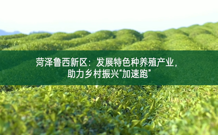 菏澤魯西新區(qū)：發(fā)展特色種養(yǎng)殖產(chǎn)業(yè) 助力鄉(xiāng)村振興“加速跑”