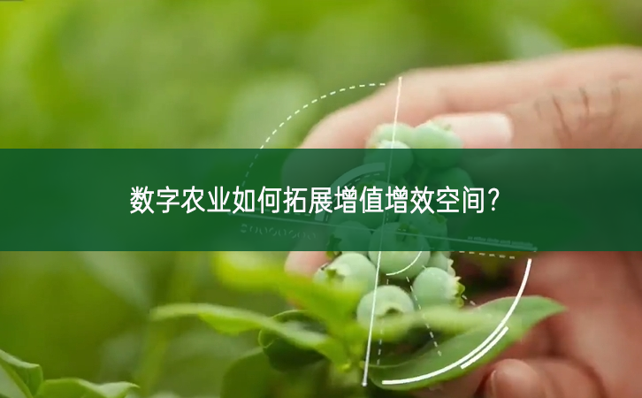 數字農業如何拓展增值增效空間？