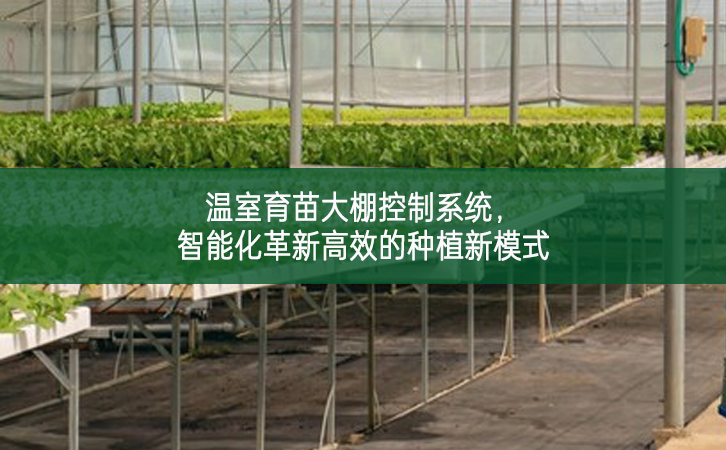 溫室育苗大棚控制系統(tǒng)，智能化革新高效的種植新模式