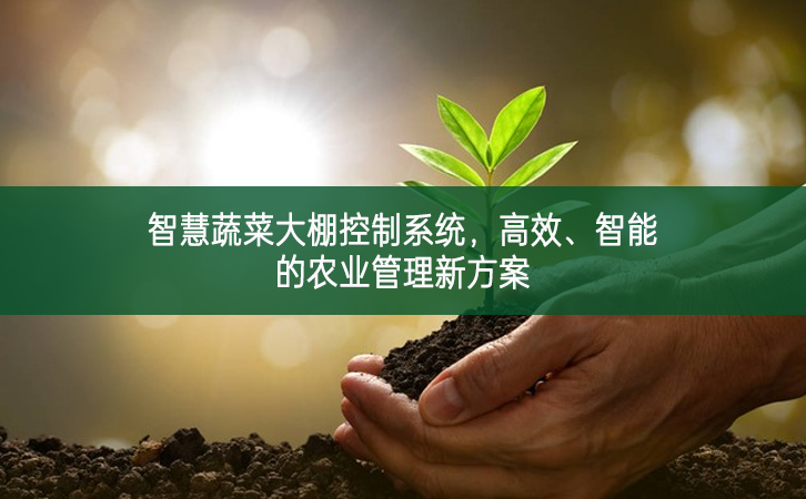 智慧蔬菜大棚控制系統(tǒng)，高效、智能的農(nóng)業(yè)管理新方案
