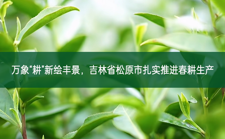 萬象“耕”新繪豐景 吉林省松原市扎實推進春耕生產