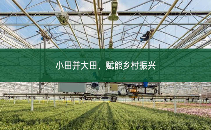 小田并大田 賦能鄉(xiāng)村振興