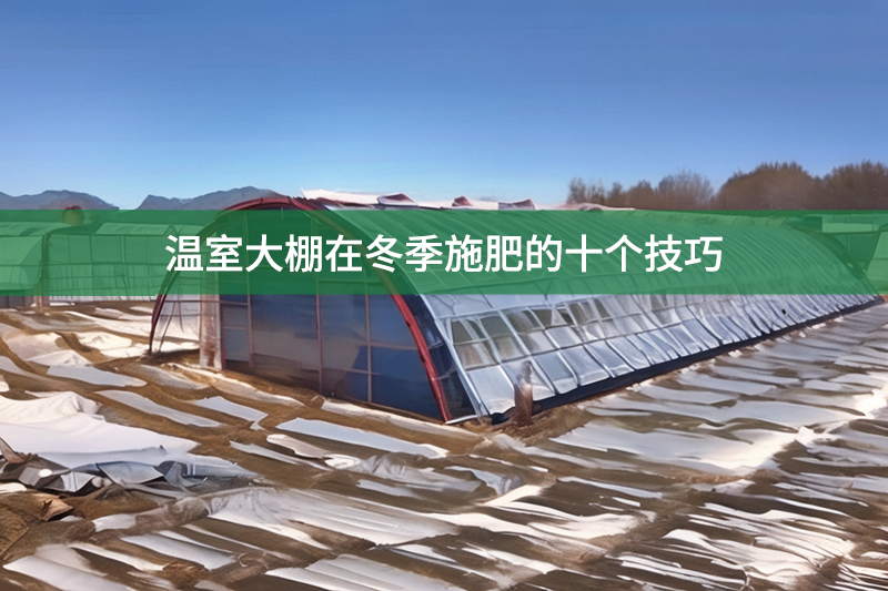 溫室大棚在冬季施肥的十個技巧
