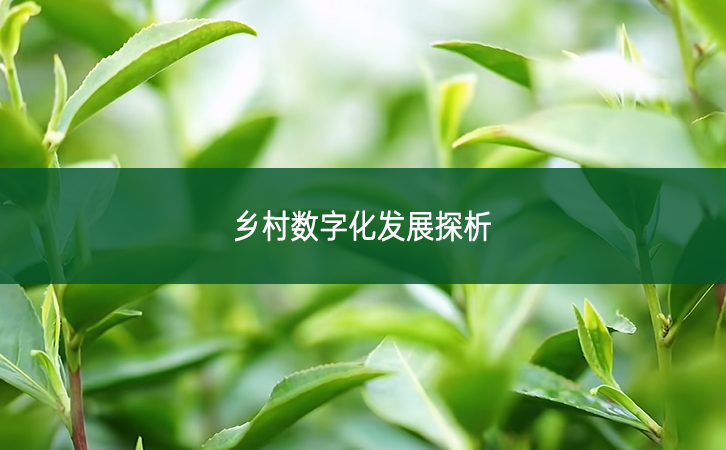 鄉(xiāng)村數(shù)字化發(fā)展探析