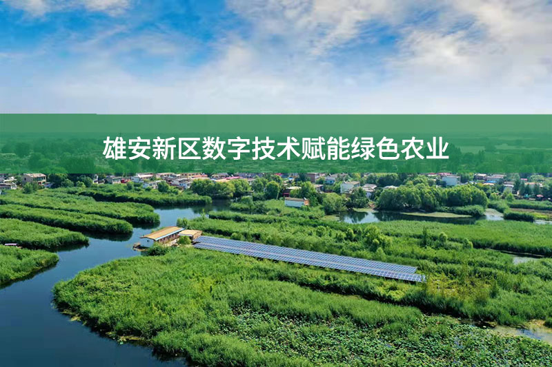雄安新區數字技術賦能綠色農業
