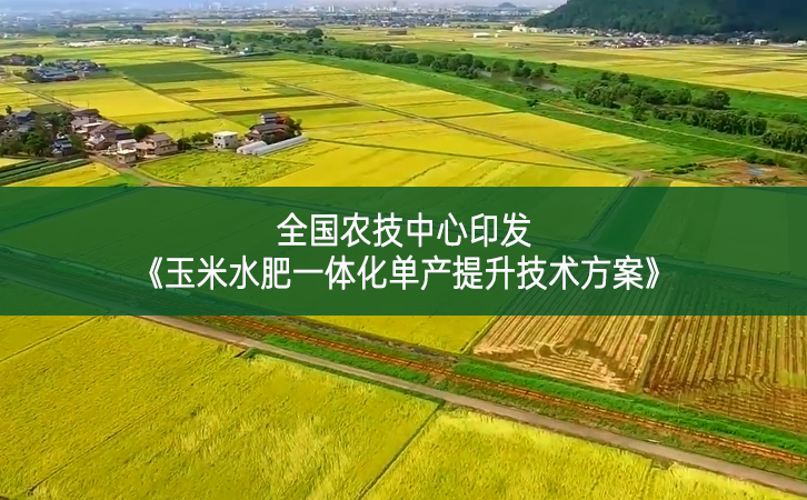 全國農(nóng)技中心印發(fā)《玉米水肥一體化單產(chǎn)提升技術(shù)方案》