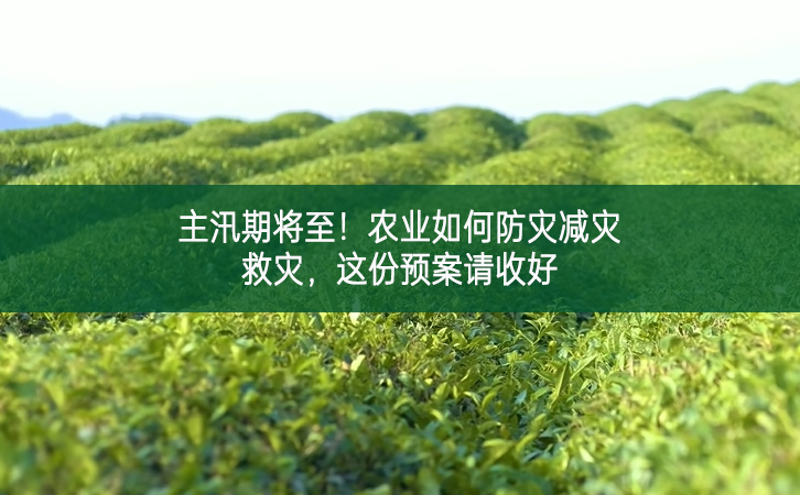 主汛期將至！農(nóng)業(yè)如何防災(zāi)減災(zāi)救災(zāi)，這份預(yù)案請收好