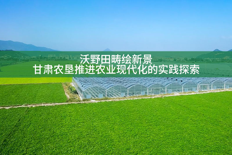 沃野田疇繪新景——甘肅農墾推進農業現代化的實踐探索