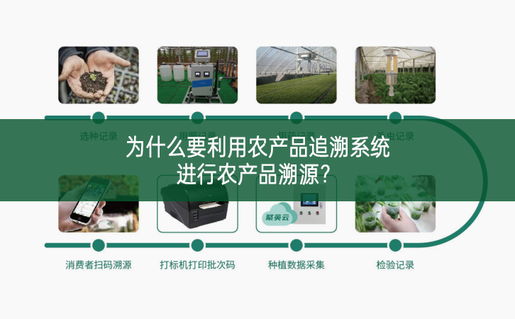 為什么要利用農產品追溯系統進行農產品溯源?