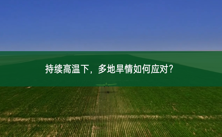 持續(xù)高溫下,多地旱情如何應(yīng)對?