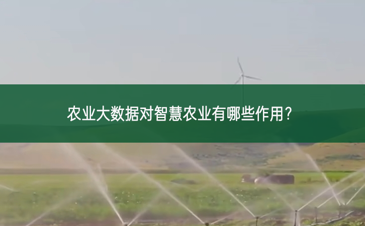 農(nóng)業(yè)大數(shù)據(jù)對智慧農(nóng)業(yè)有哪些作用？