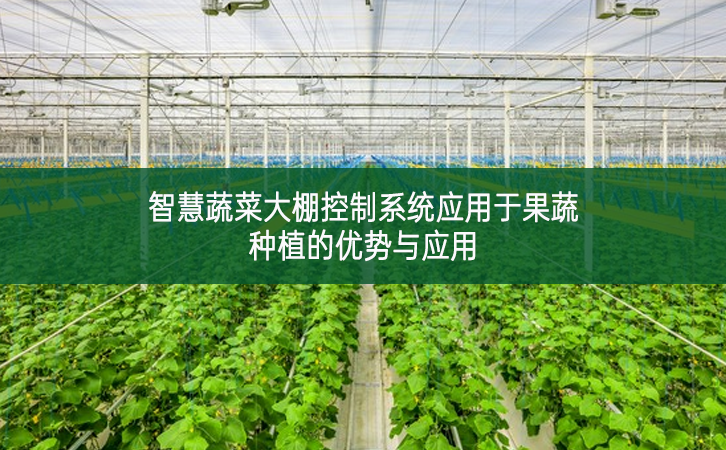 智慧蔬菜大棚控制系統(tǒng)應(yīng)用于果蔬種植的優(yōu)勢(shì)與應(yīng)用