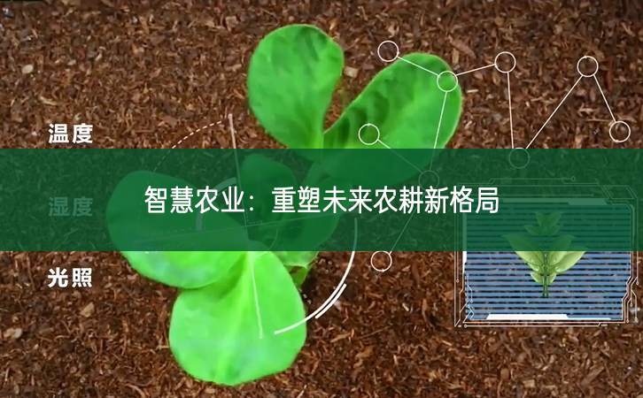 智慧農業：重塑未來農耕新格局