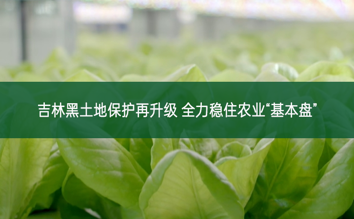 吉林黑土地保護再升級 全力穩住農業“基本盤”