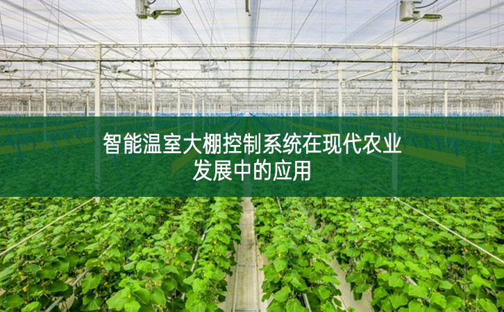 智能溫室大棚控制系統在現代農業發展中的應用
