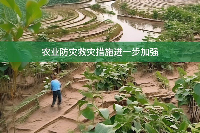 農業防災救災措施進一步加強