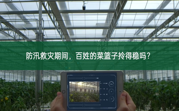 防汛救災期間,百姓的菜籃子拎得穩嗎?