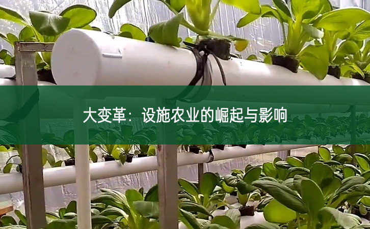 大變革：設施農業的崛起與影響