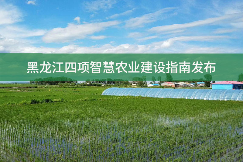 黑龍江四項智慧農(nóng)業(yè)建設指南發(fā)布