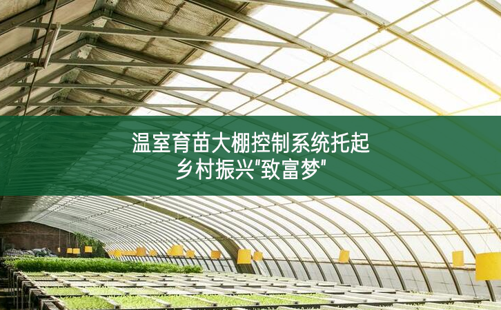溫室育苗大棚控制系統(tǒng)托起鄉(xiāng)村振興"致富夢(mèng)"