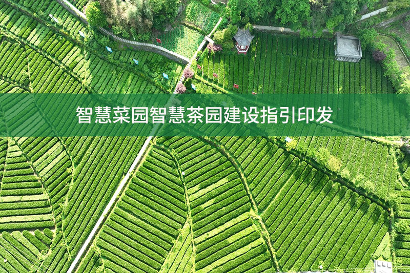 智慧菜園智慧茶園建設指引印發